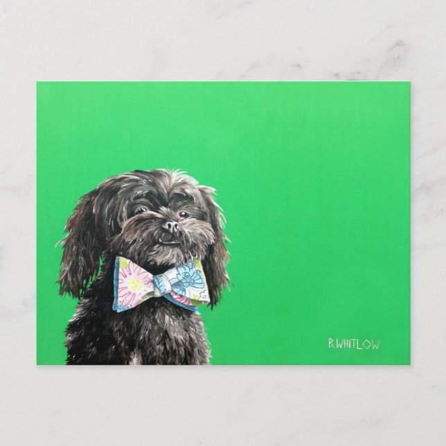 Cartão postal de cachorro Shih Tzu Yorkie - Chip (Frente)