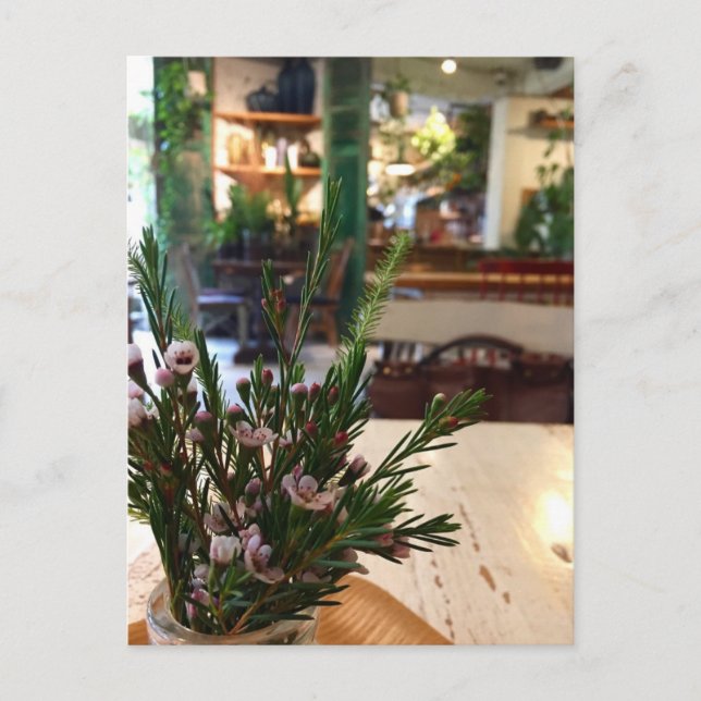 Cartão postal de café coreano (Frente)