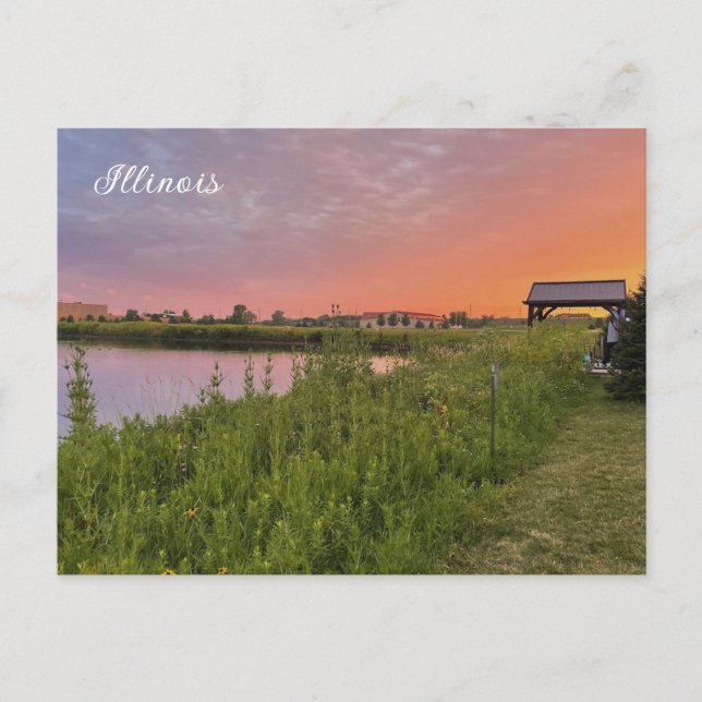 Cartão postal de Campo Illinois (Frente)