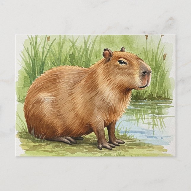 Cartão Postal de Capivara Fofa (Frente)