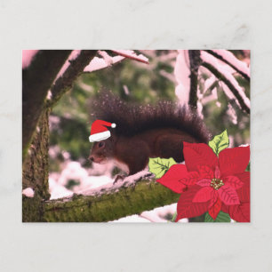 Cartão-postal de Cartões de natal