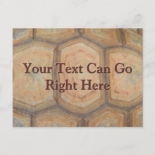 Cartão postal de casco de tartaruga (Frente)