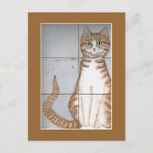 Cartão postal de Cat de Amsterdã