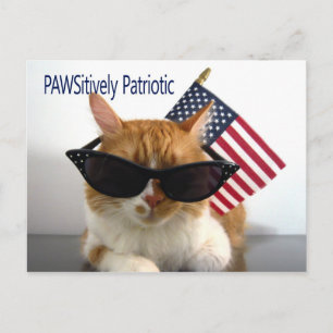 Cartão postal de Cat PAWSitively Patriótico