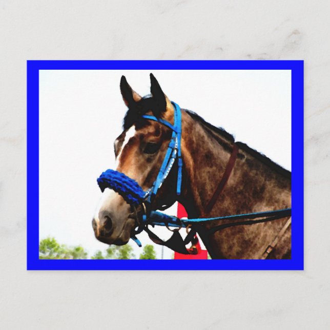 Cartão postal de cavalo de corrida (Frente)