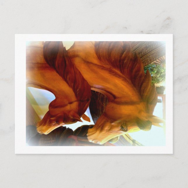 cartão postal de cavalo e pônei (Frente)