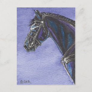 Cartão postal de Cavalo Frésio
