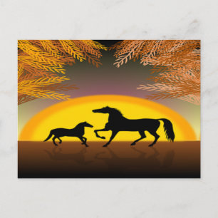 cartão postal de cavalos ao pôr do sol