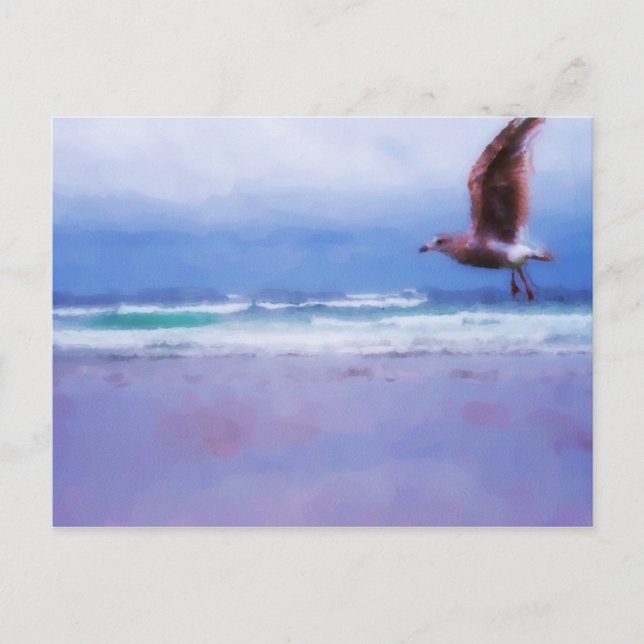 Cartão postal de cigano do mar (Frente)