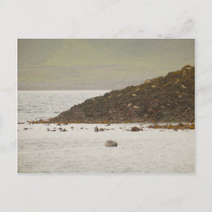 Cartão postal de cinza