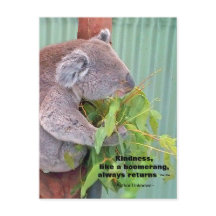 Cartão postal de citação de Koala Kindness