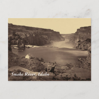 Cartão postal de cobra River Soshone Cai No Idaho 