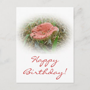 Cartão postal de cogumelo rosa de aniversário