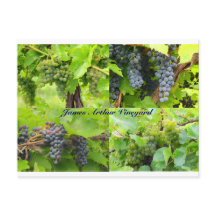 Cartão postal de Colagem JAV 2013 9