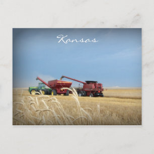 Cartão postal de Colheita de Trigo Kansas