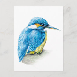 Cartão postal de coloração branca de Kingfisher