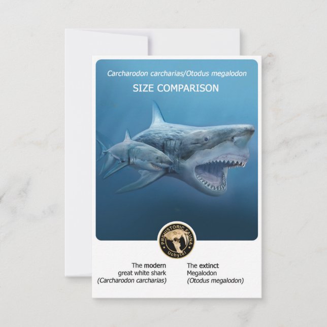 Cartão postal de comparação de tamanho (Megalodon+ (Frente)