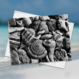 Cartão postal de conchas de praia em preto e branc