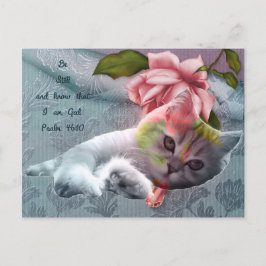 Cartão postal de conforto para gatos calmos