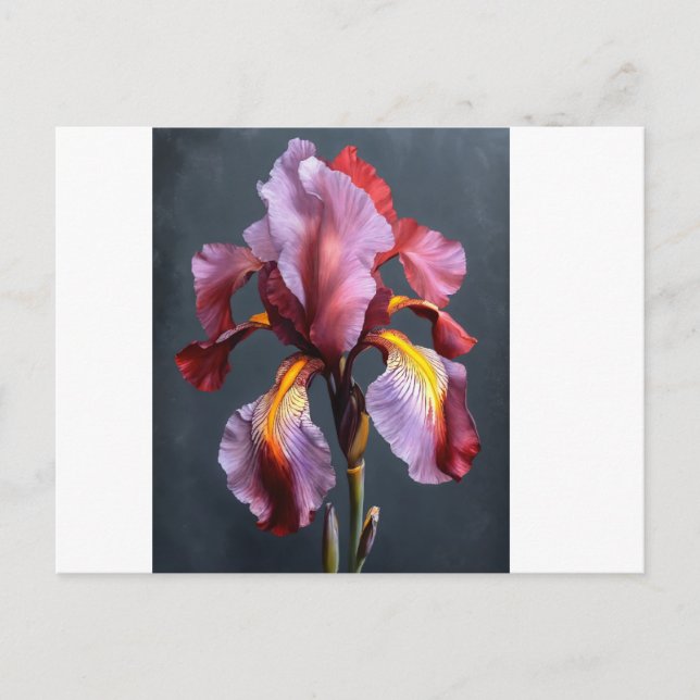 Cartão Postal de Convite (Frente)