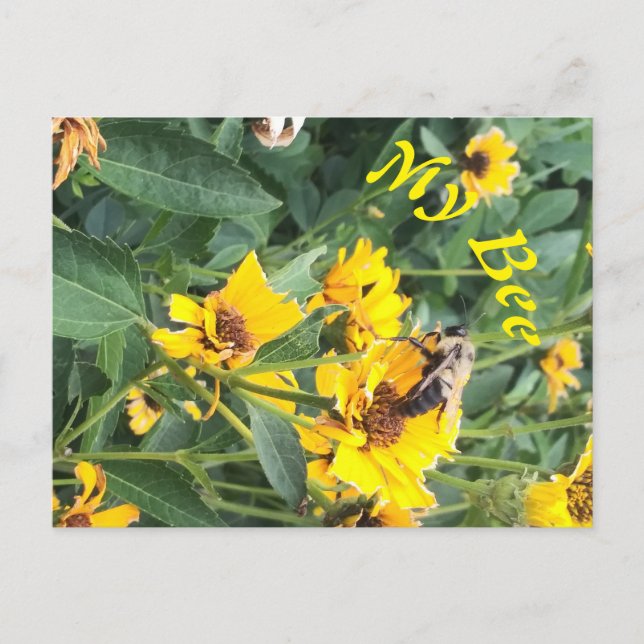 Cartão Postal De Convite Abóbora Polinizando Flor Amarelo (Frente)