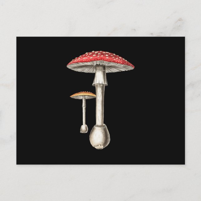 Cartão Postal De Convite Amanita Muscaria Mushroom Botânica Fungi (Frente)