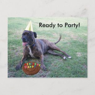 Cartão Postal De Convite Apronte para party com cão do aniversário e bolo