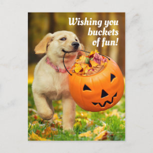 Cartão Postal De Convite Cachorrinho Com Balde de Abóbora