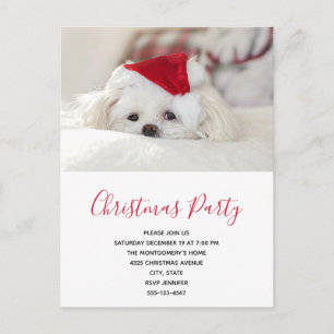 Cartão Postal De Convite Cachorro Branco Bonito numa festa de Natal Vermelh