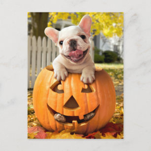 Cartão Postal De Convite Cachorro em Jack-o-Lanterna
