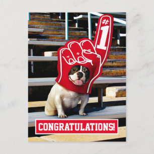 Cartão Postal De Convite Cachorro Na Mão Da Espuma