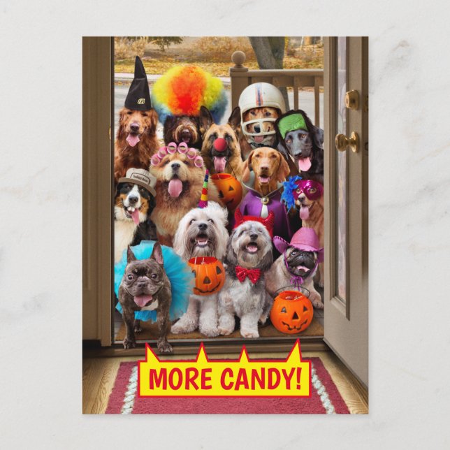 Cartão Postal De Convite Cães de Trick-or-Treat (Frente)