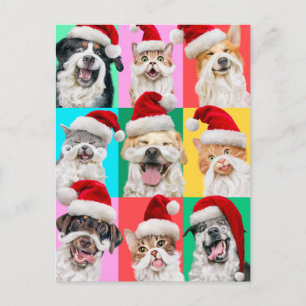 Cartão Postal De Convite Cães e Gatos com Barba de Papai Noel