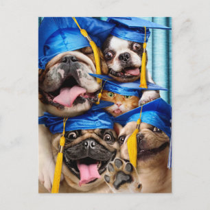 Cartão Postal De Convite Cães e Gatos Graduados em Cabine de Fotos