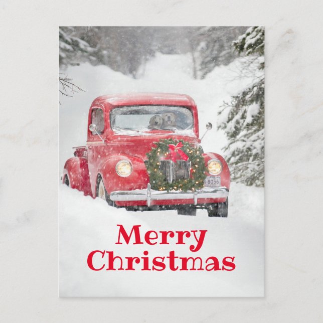 Cartão Postal De Convite Cães em um Caminhão (Frente)