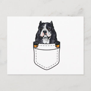 Cartão Postal De Convite Cão Pocket Bully