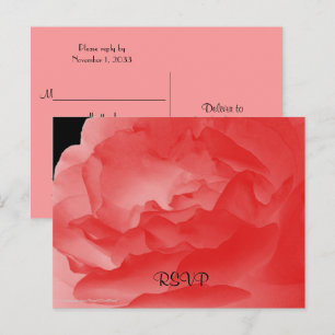 Cartão Postal De Convite Cartão de RSVP, rosa coral do rosa