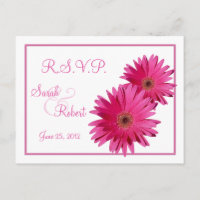 Cartão-postal da Gerbera Daisy Flowers RSVP Rosa