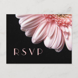Cartão Postal De Convite Cartão-postal Gerbera Daisy RSVP Rosa