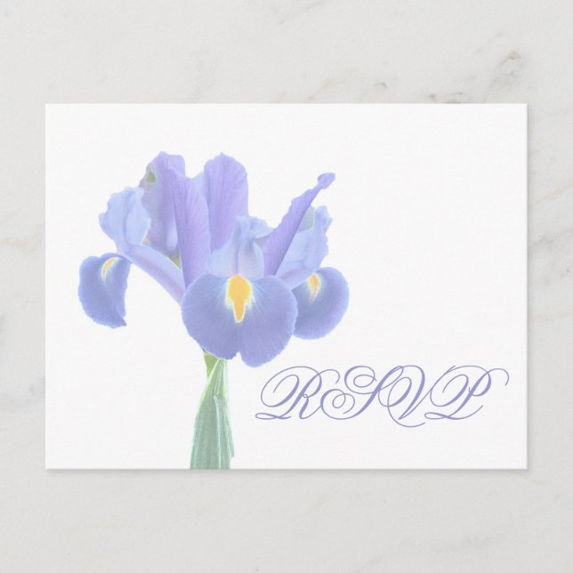 Cartão Postal De Convite Cartões-postais Iris de RSVP de Casamento (Frente)