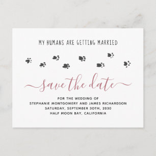 Cartão Postal De Convite Casamento de Animais de Estimação Humanos se Casan