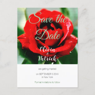 Cartão Postal De Convite Casamento Rosa Vermelha Salve a Data