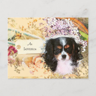 Cartão Postal De Convite Cavalier King Charles Spaniel