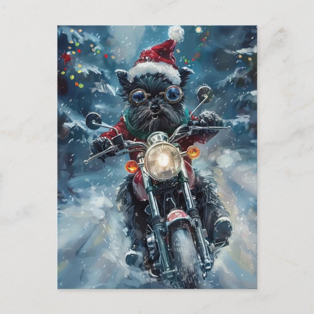 Cartão Postal De Convite Cavalo Affenpinscher Ando De Motocicleta Natal (Frente)