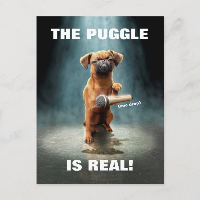 Cartão Postal De Convite Coleta de microfone (Frente)