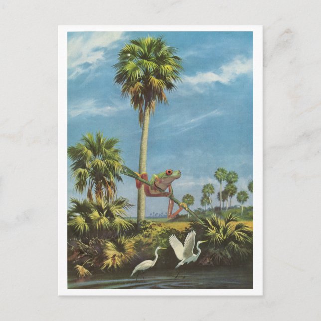 Cartão Postal De Convite Cuidado com o sapo - (Frente)