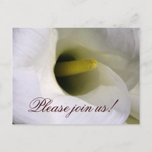 Cartão postal de convite da Calla Lily