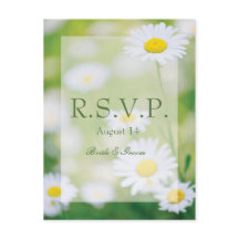Daisy Daisies Flower Floral Summer Weding RSVP