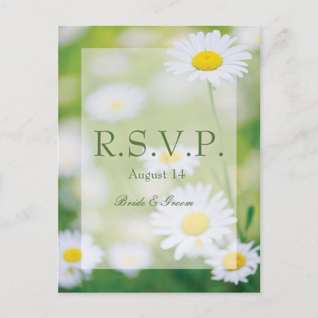 Cartão Postal De Convite Daisy Daisies Flower Floral Summer Weding RSVP (Frente)