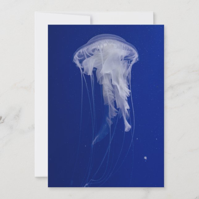 Cartão postal de convite de 5" x 7" (Frente)